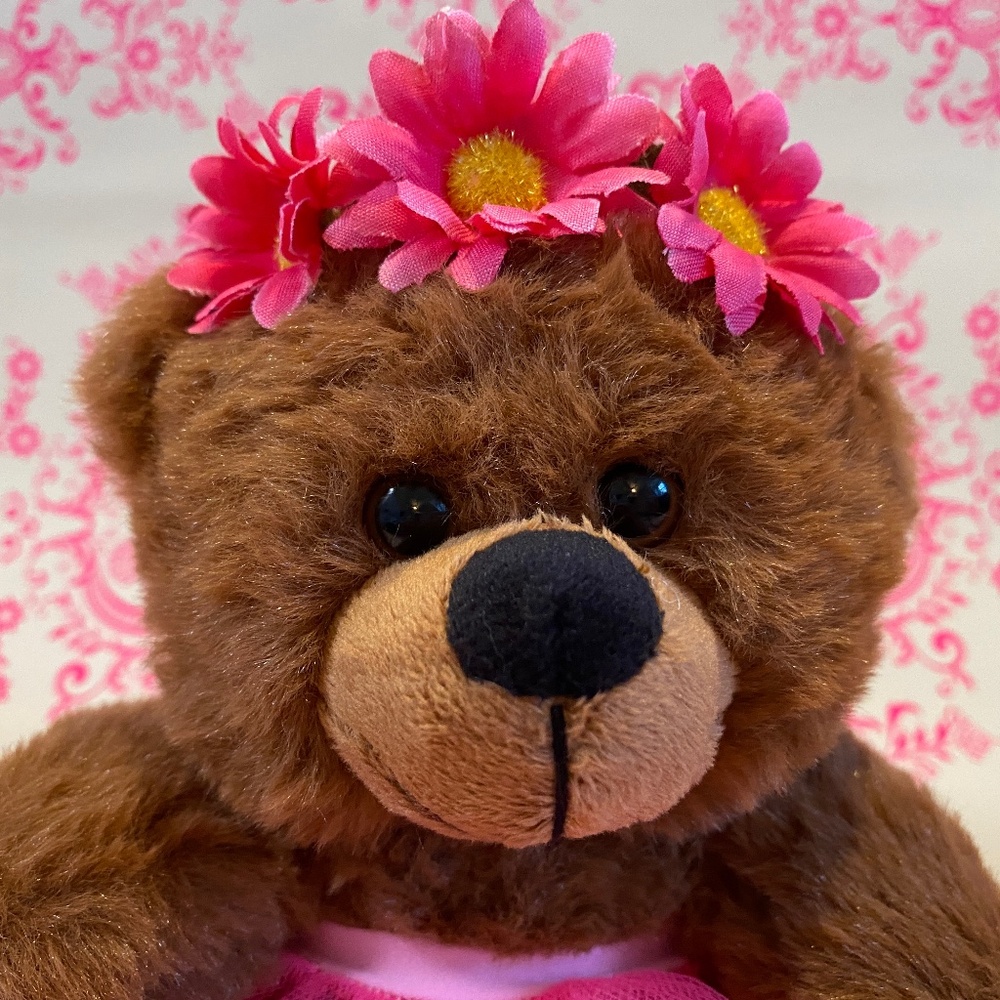 Ballerina Teddy Bear